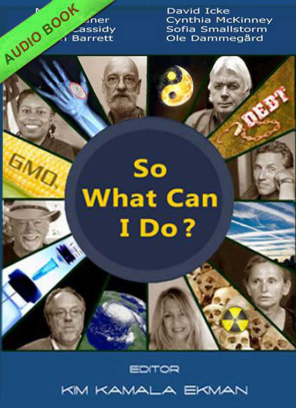 So What Can I Do? (Audio Book)