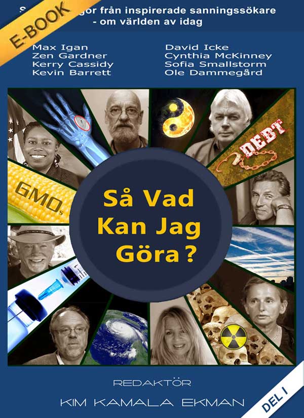 Så Vad Kan Jag Göra? av Kim Ekman