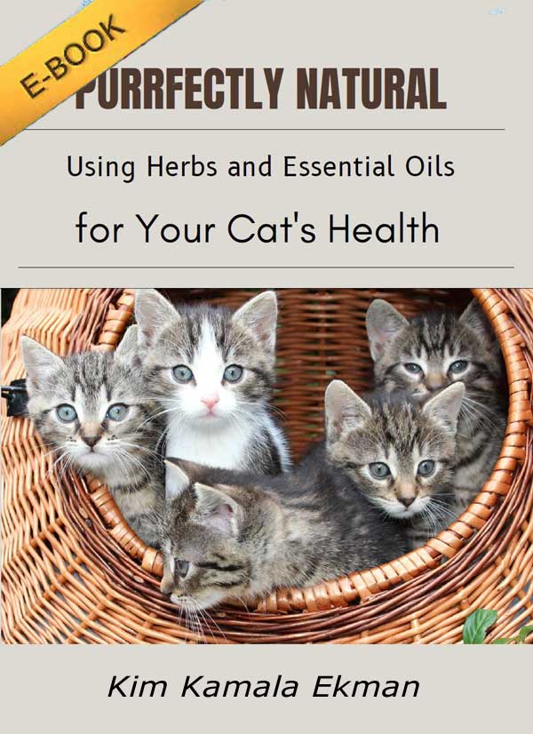 Purrfectly Natural (for Cats) – Using Oils and Herbs